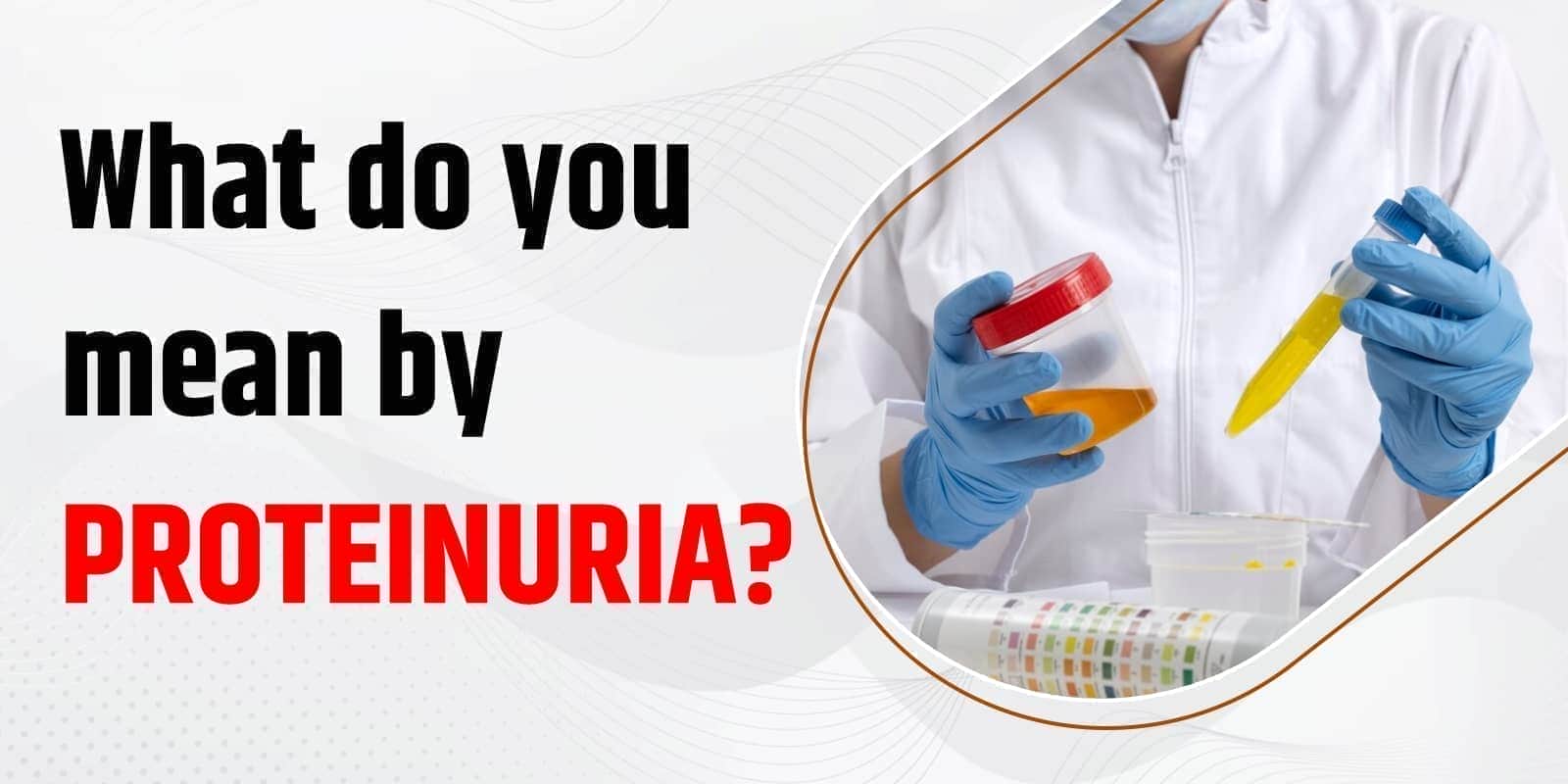 What do you mean by Proteinuria?